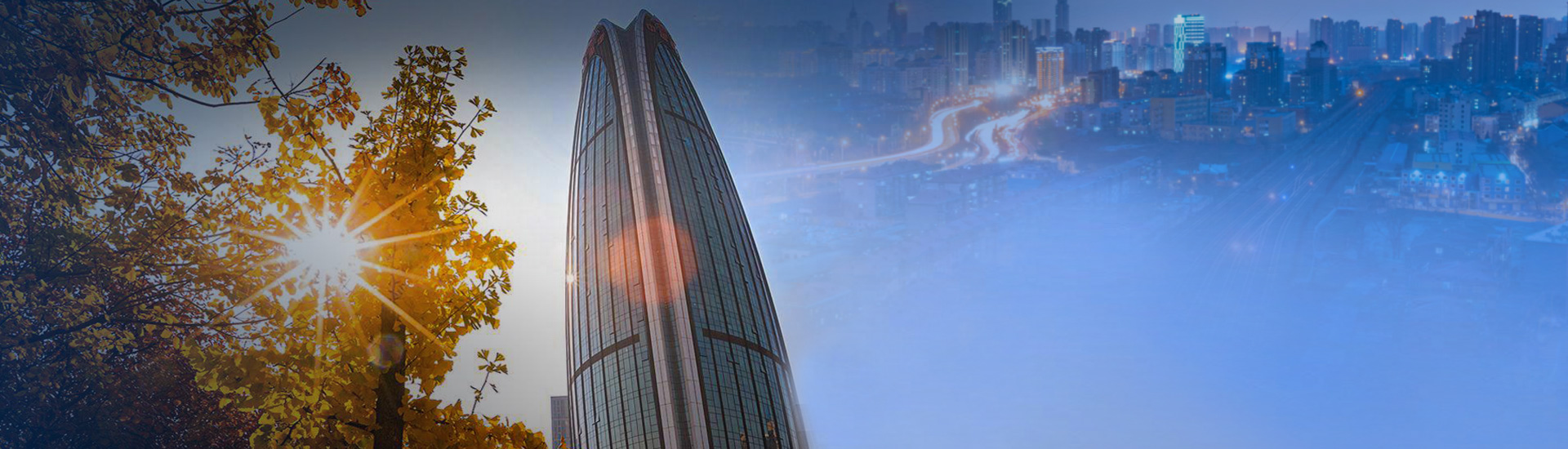 4AF5146A70AE209D41F5EC4CD7A5E867